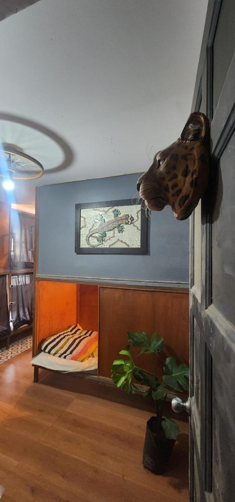 Portelli Hostal Zona G- Para Extranjeros Bogotá Exteriör bild