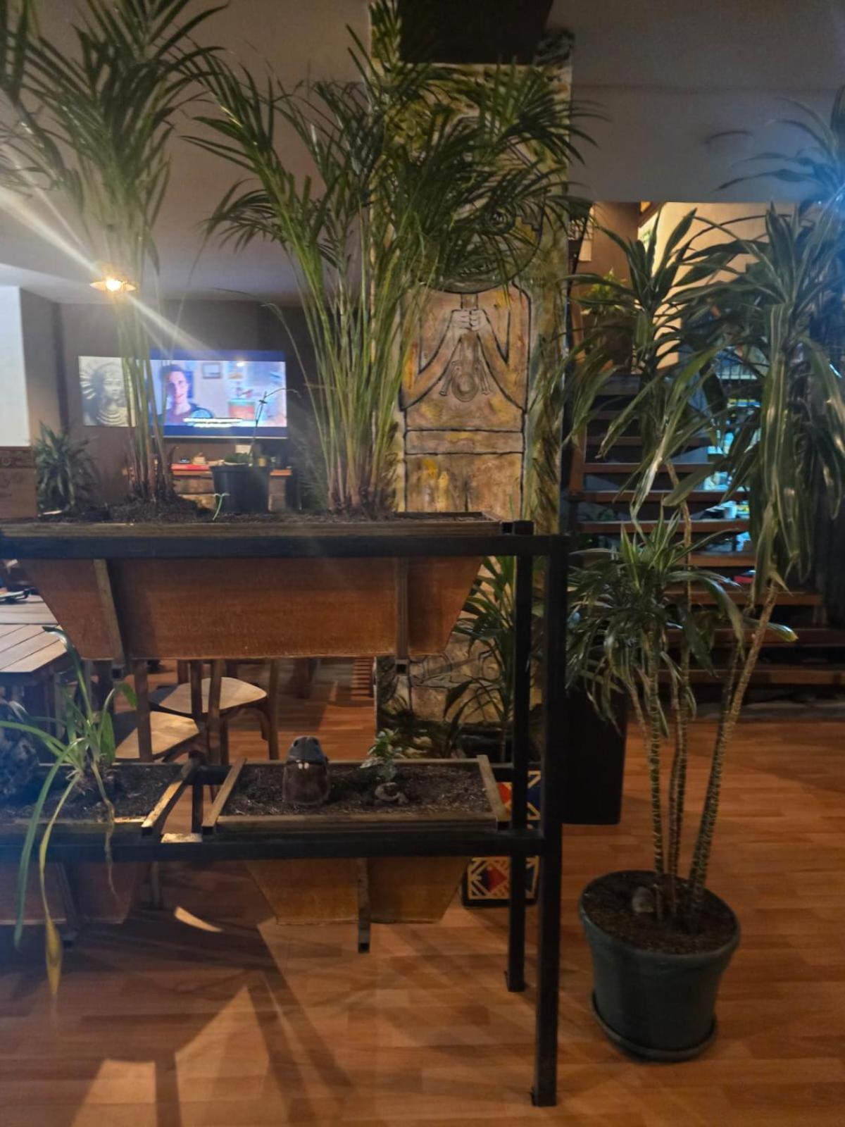 Portelli Hostal Zona G- Para Extranjeros Bogotá Exteriör bild