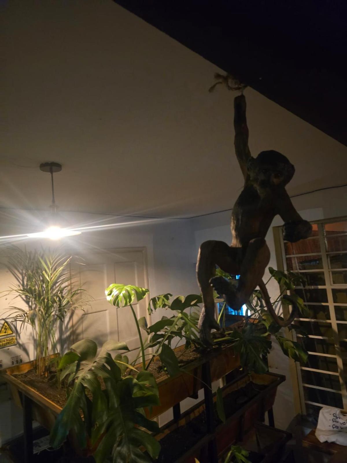 Portelli Hostal Zona G- Para Extranjeros Bogotá Exteriör bild