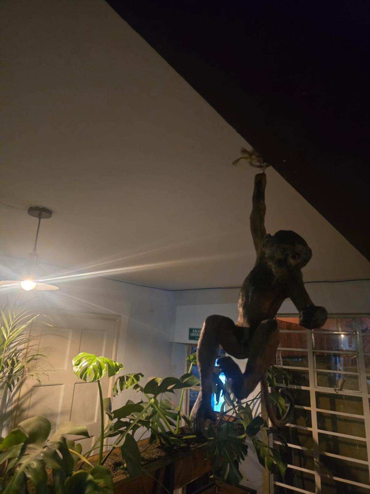 Portelli Hostal Zona G- Para Extranjeros Bogotá Exteriör bild